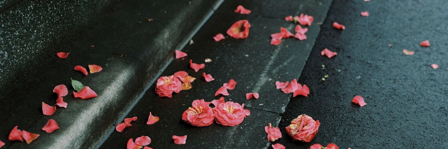 Mildezz's profile banner image