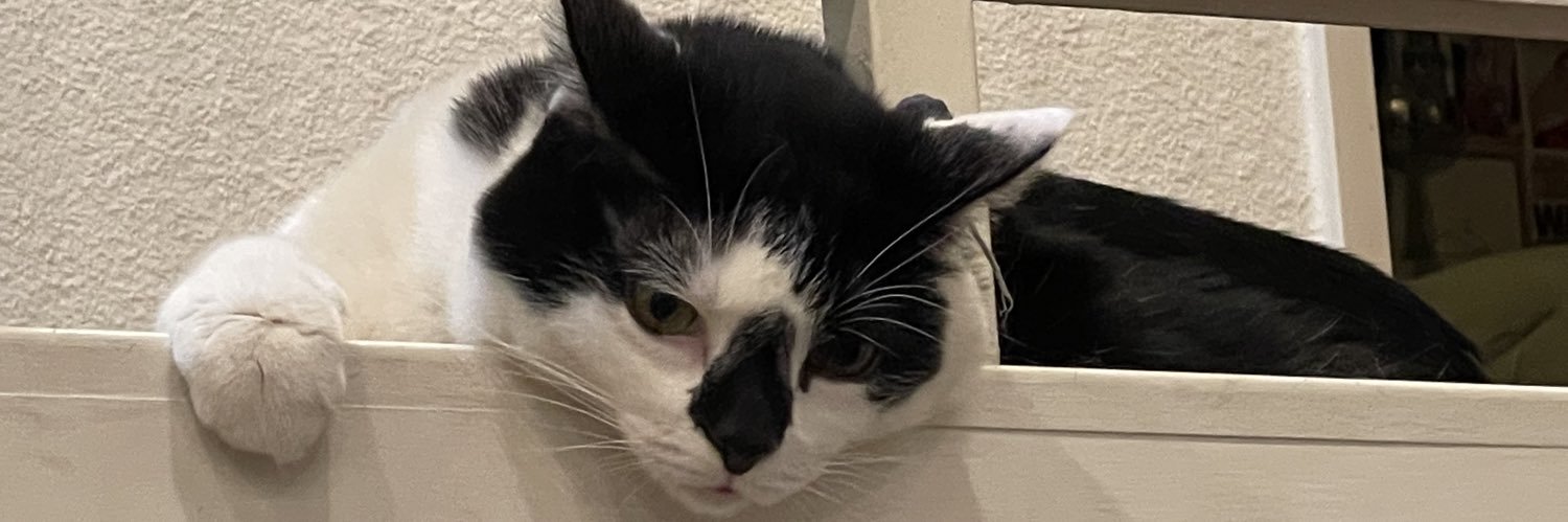 ltsCurly's profile banner image