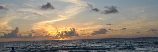 rosecavss Profile Banner