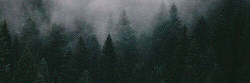 aljamikse's profile banner image
