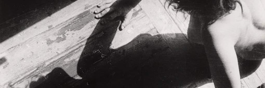 tanhaidee_'s profile banner image