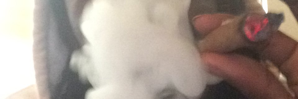 D_Guap0's profile banner image