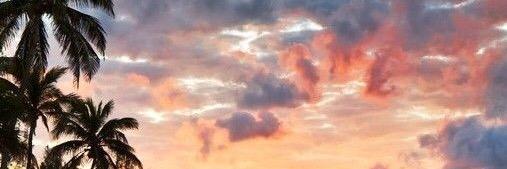 NancyTalmadge's profile banner image