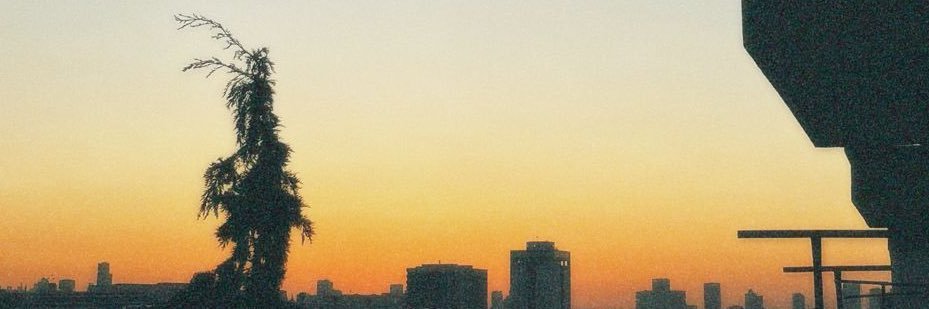 biflusanki's profile banner image