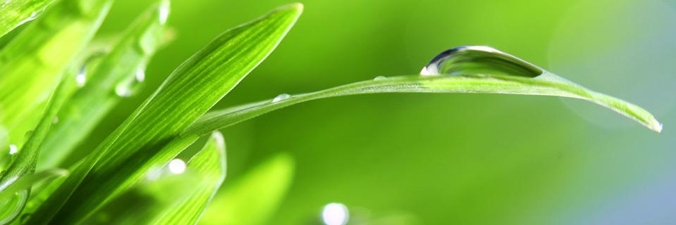 AlisonSTherapy's profile banner image