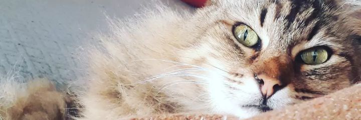 karliday14's profile banner image