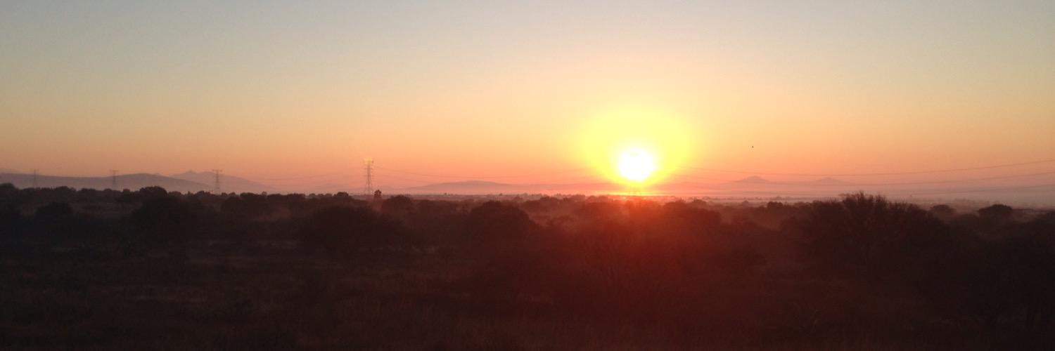 Curro Velasco banner