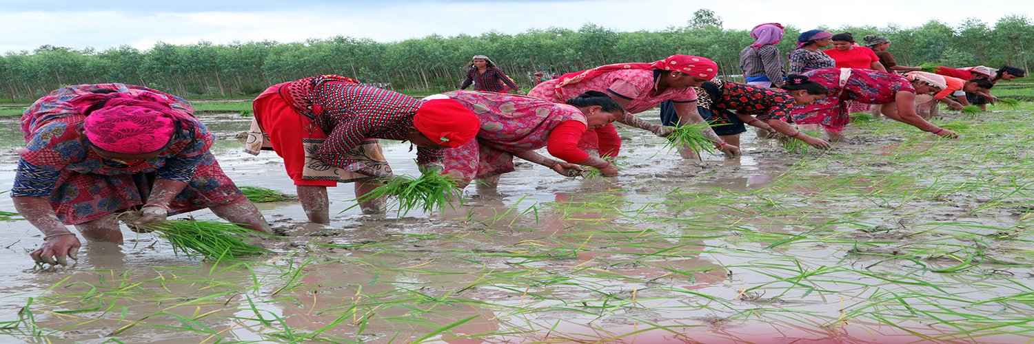 Land Movement banner