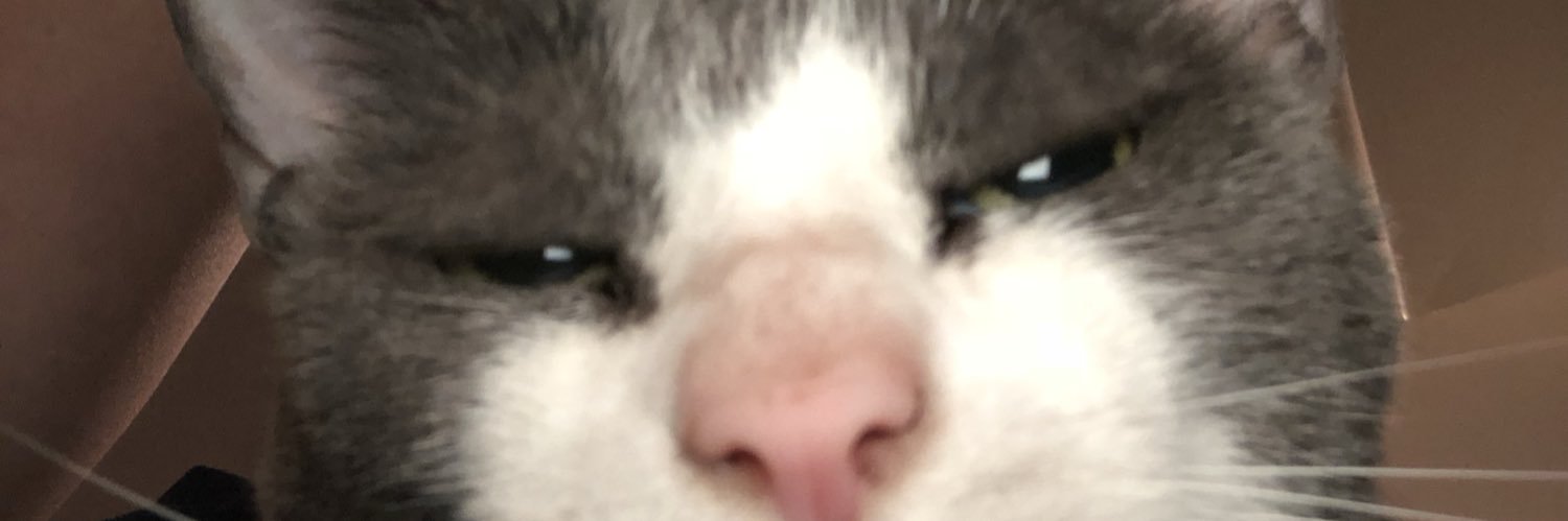 Captain Hubris banner