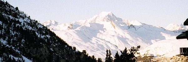 Emily Street Profile Banner