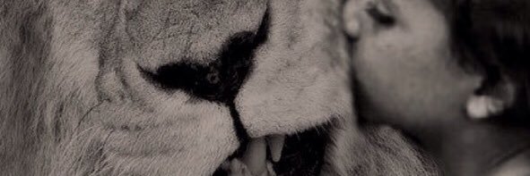 Y_Grigoryan's profile banner image