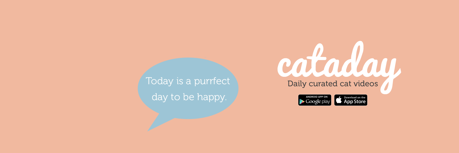 Cataday banner