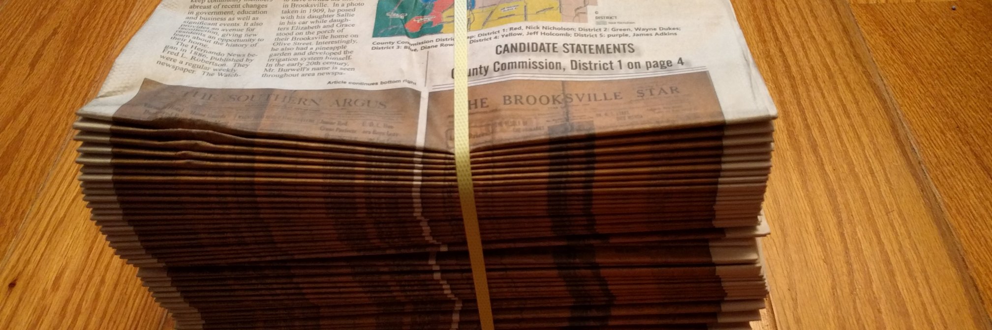 Hernando Sun Newspaper banner