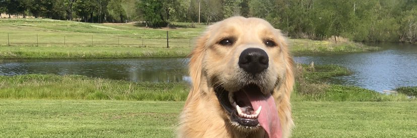 branleighw's profile banner image