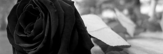 gabimahone2's profile banner image