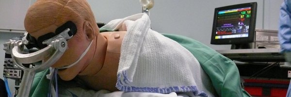 NewcastleSim Profile Banner