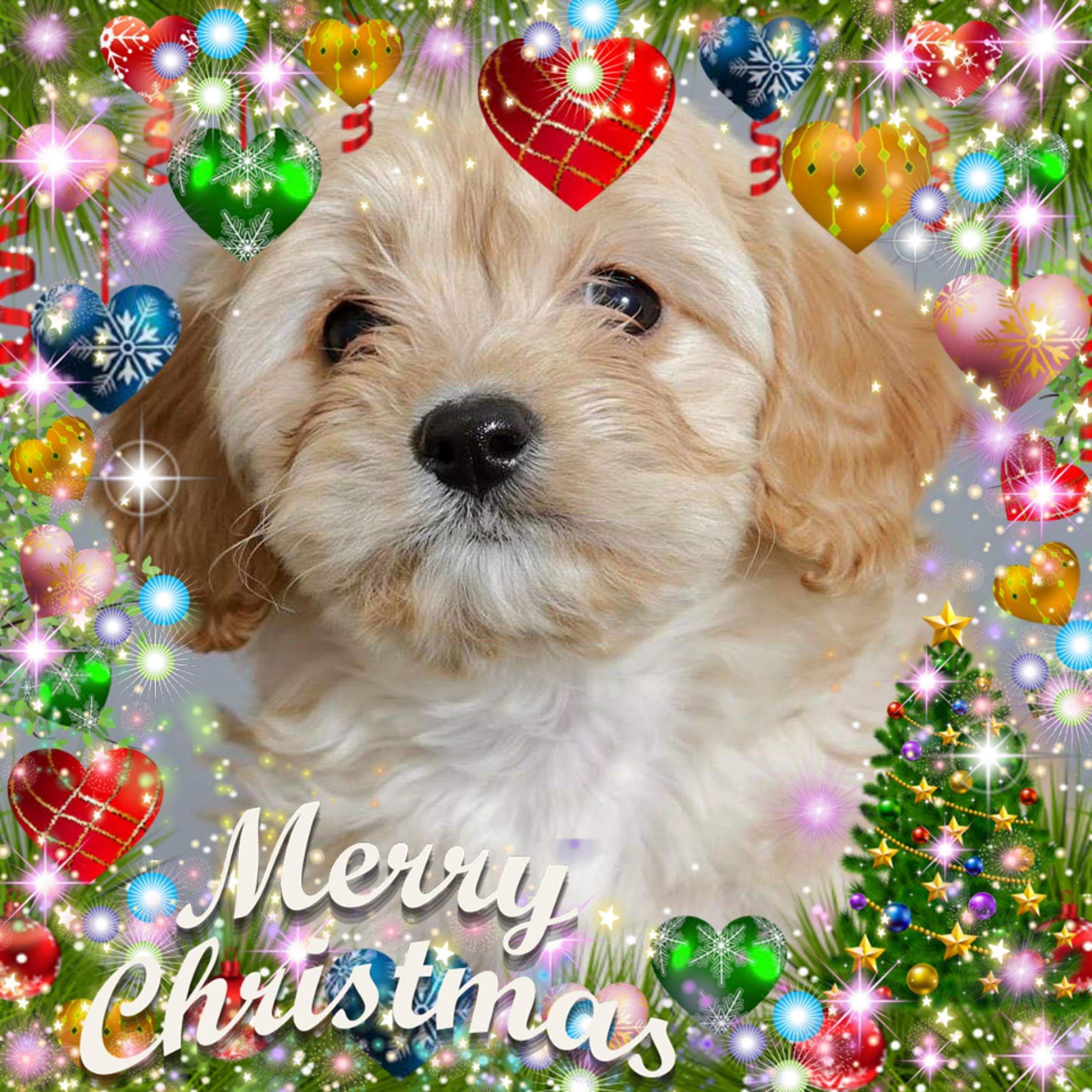 JoeCrean Wedding / Event Photography banner