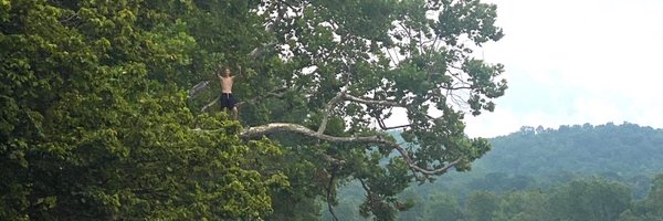 beaucurtiss Profile Banner