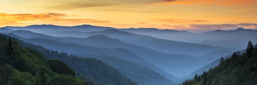 Heather Henderlight, Ed.S. banner