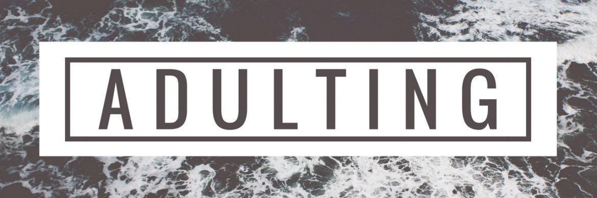 WeLoveAdulting's profile banner image