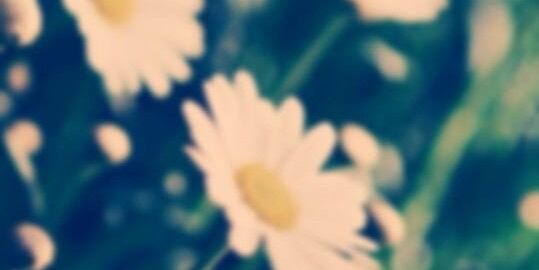 OOOOOO3170's profile banner image