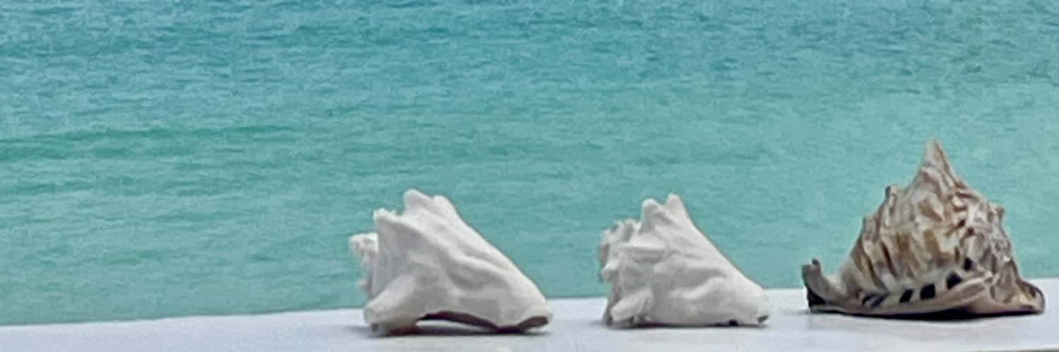 Grace_Catt's profile banner image