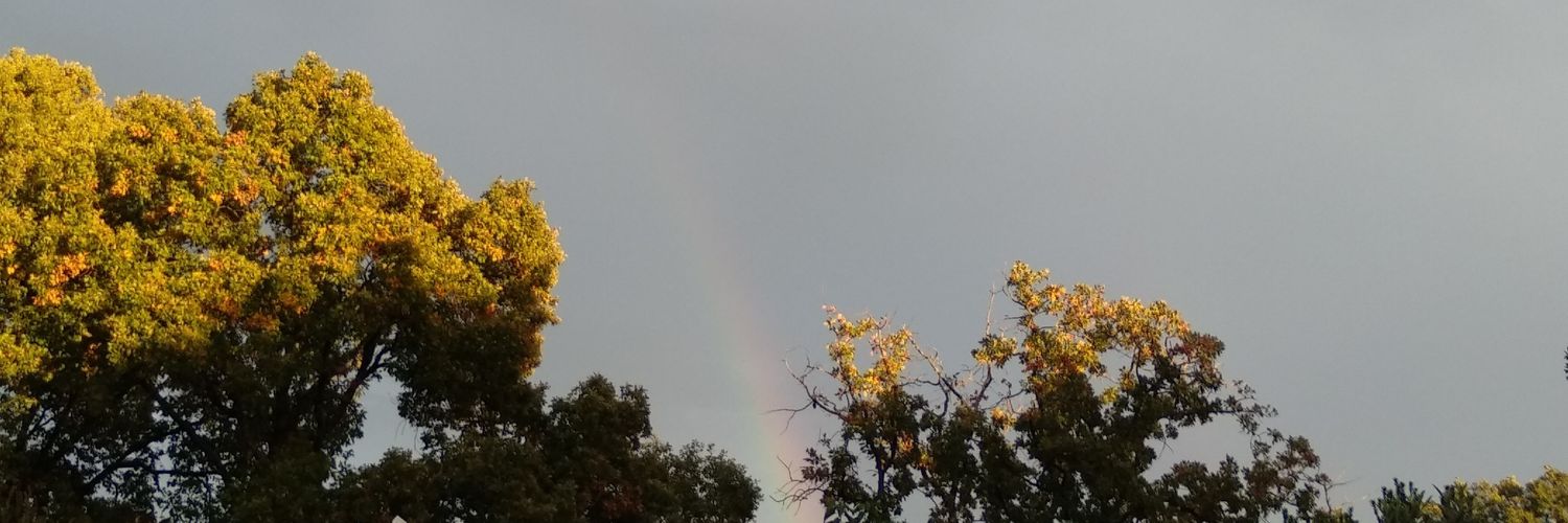 Jara Cubillo Llanes banner