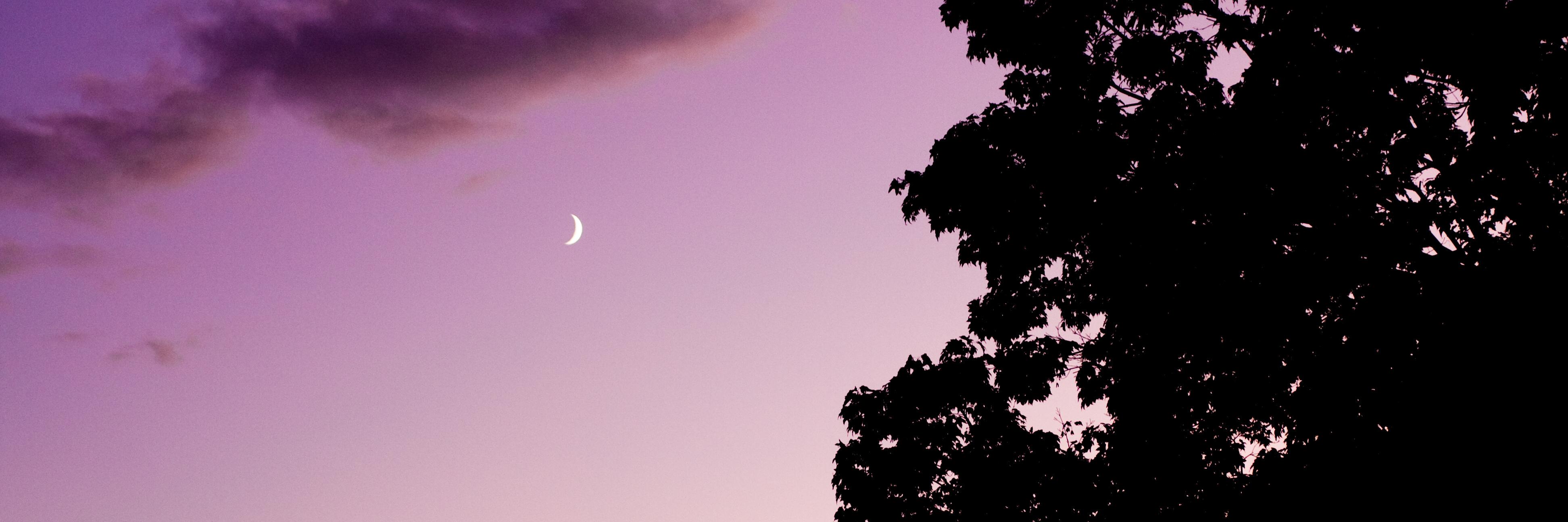 CollegeConsent's profile banner image