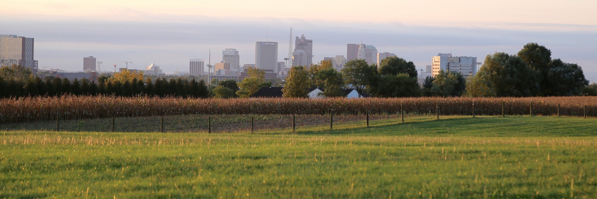 Ohio State Turfgrass banner
