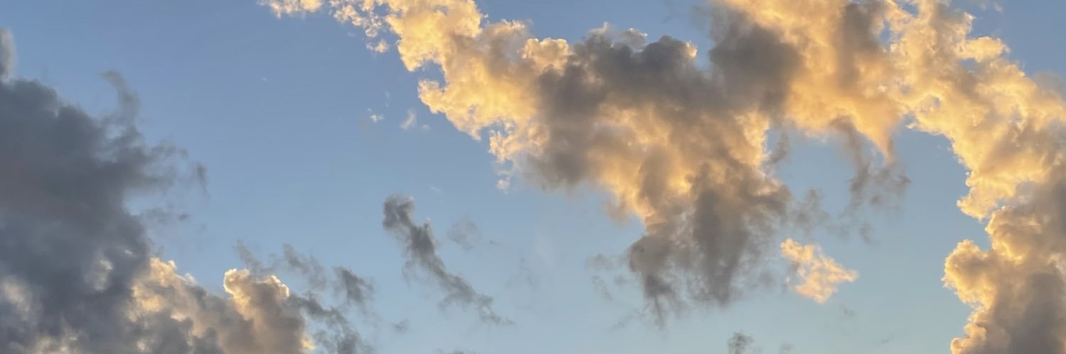 Sahrayzinha's profile banner image