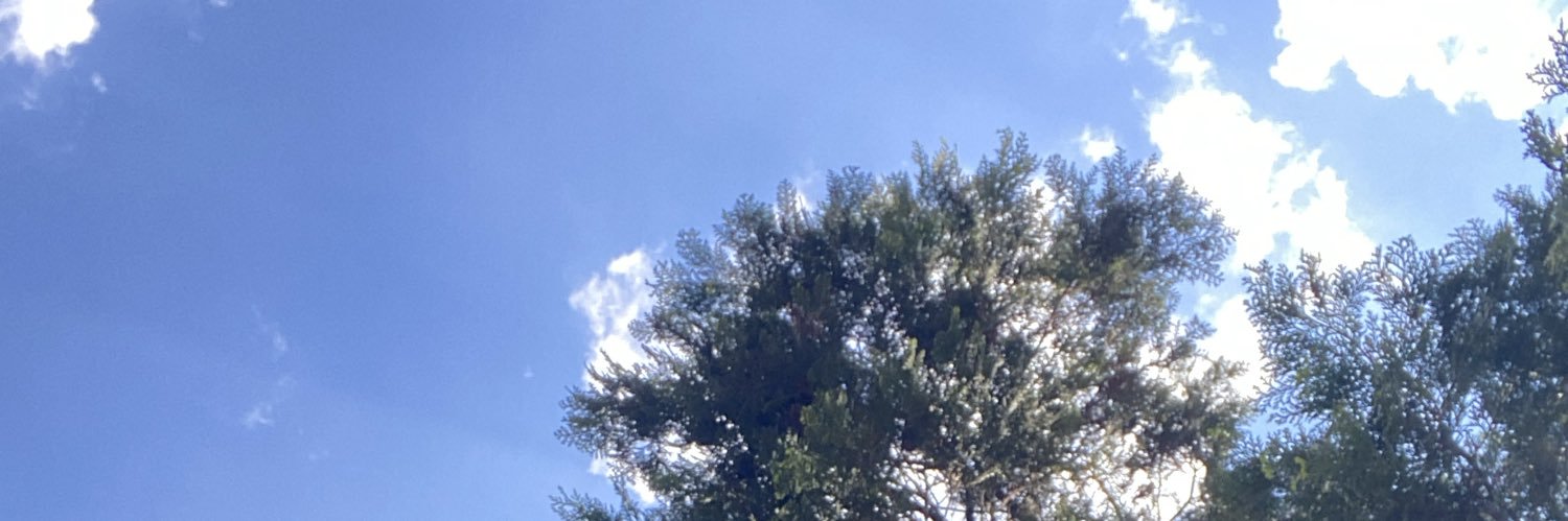 Pedro_joabe's profile banner image