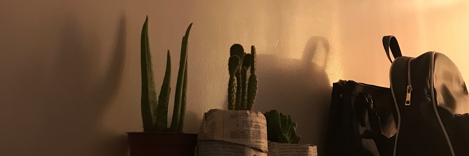 ellamcat's profile banner image