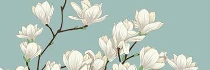 EsraToprak1's profile banner image