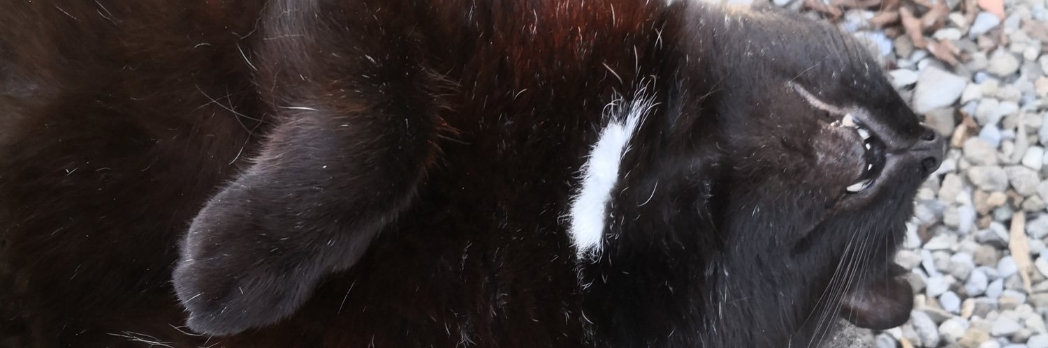 wulpi_'s profile banner image