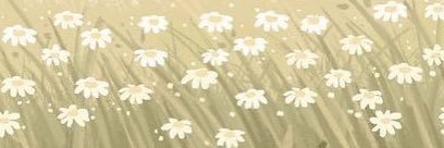 Quackidiee's profile banner image