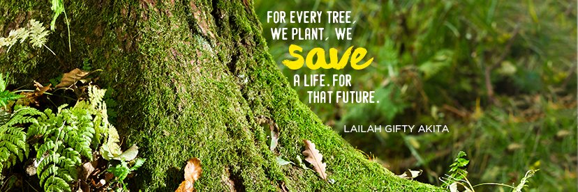 worldofforestry's profile banner image
