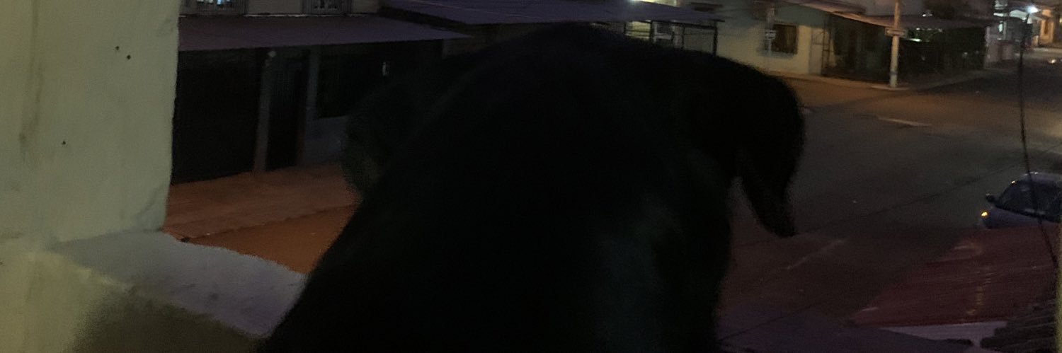 kerlybanchon's profile banner image
