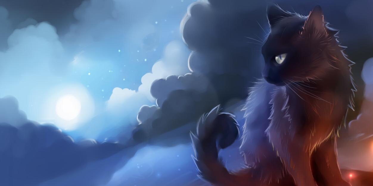RaksusI's profile banner image
