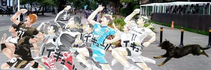 heysaysjane's profile banner image