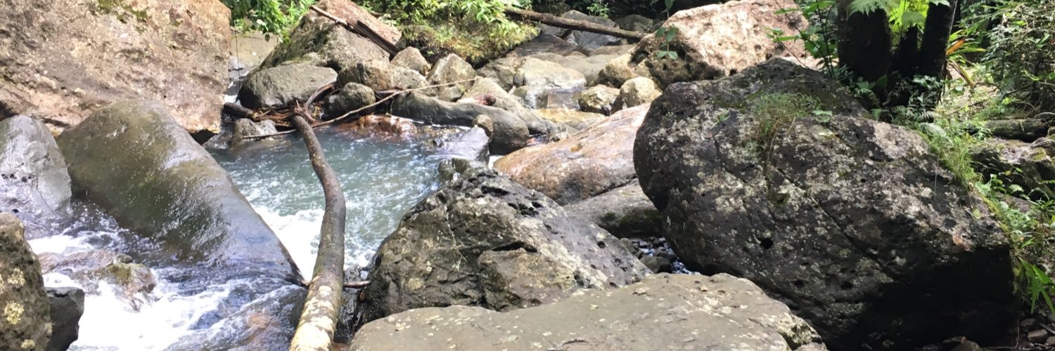 Kaitlin Sullivan banner