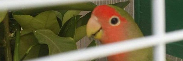 MLYMEHDIIi Profile Banner