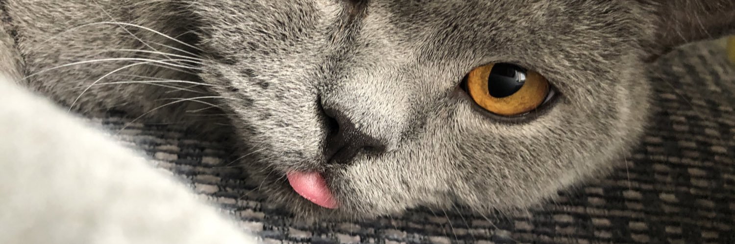 EmilyBriers's profile banner image