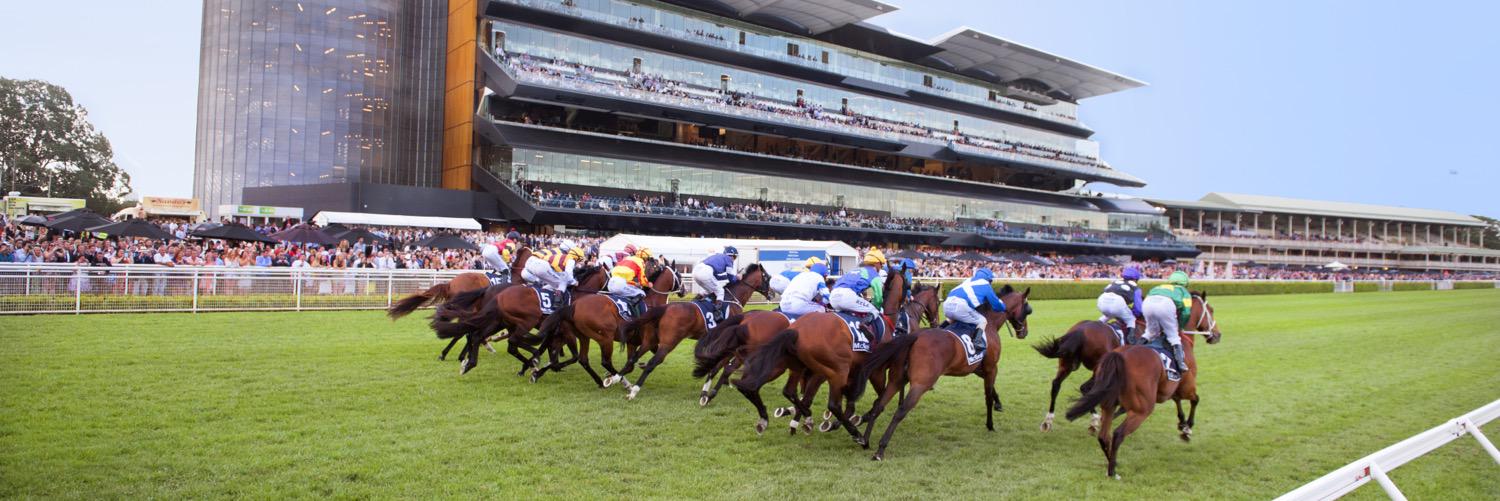Royal Randwick banner