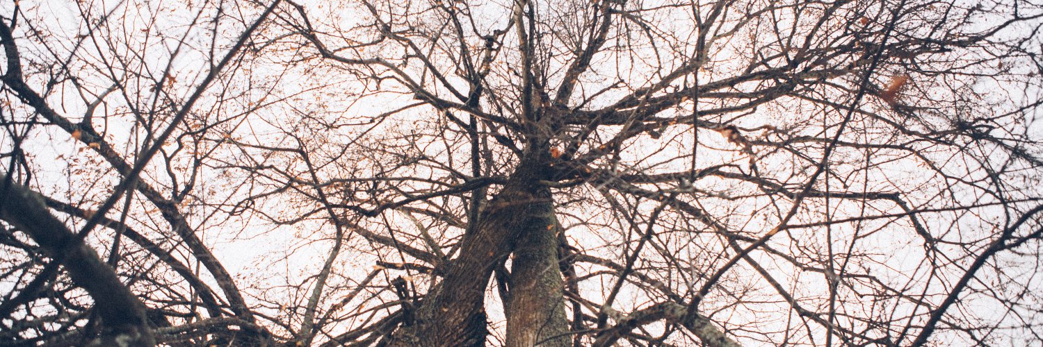 AnnaDePo's profile banner image
