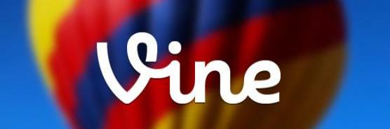 vineburda's profile banner image