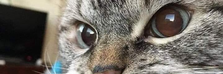 Supakan5403's profile banner image
