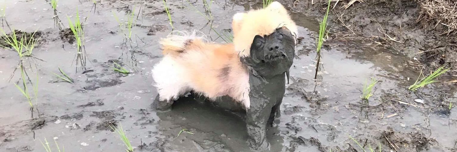 WTF_2525's profile banner image