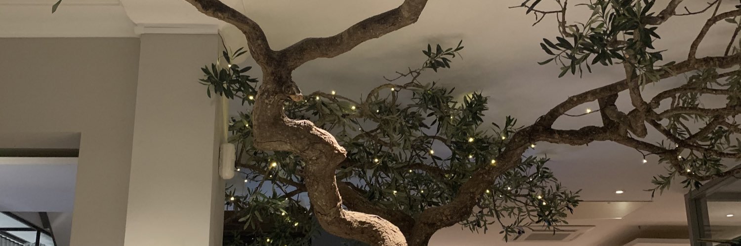 mfelicite_'s profile banner image