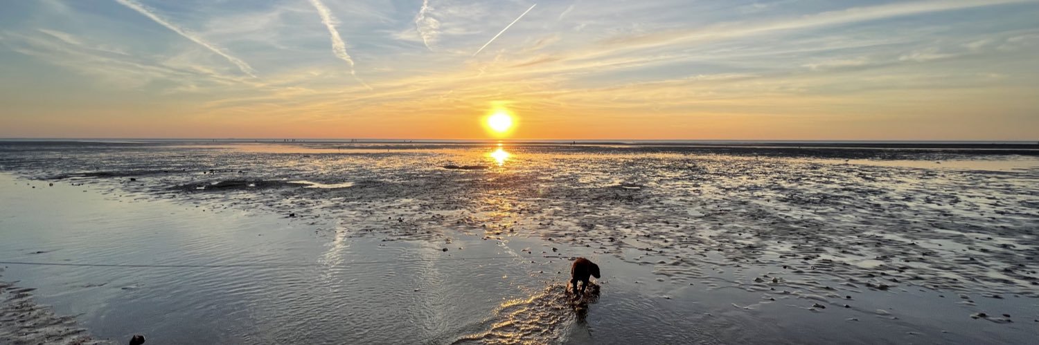 Cllr Sandra Squire banner