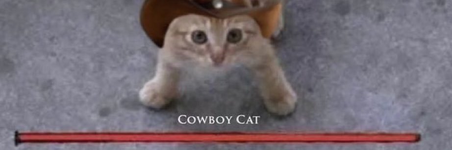 bawbeedee's profile banner image